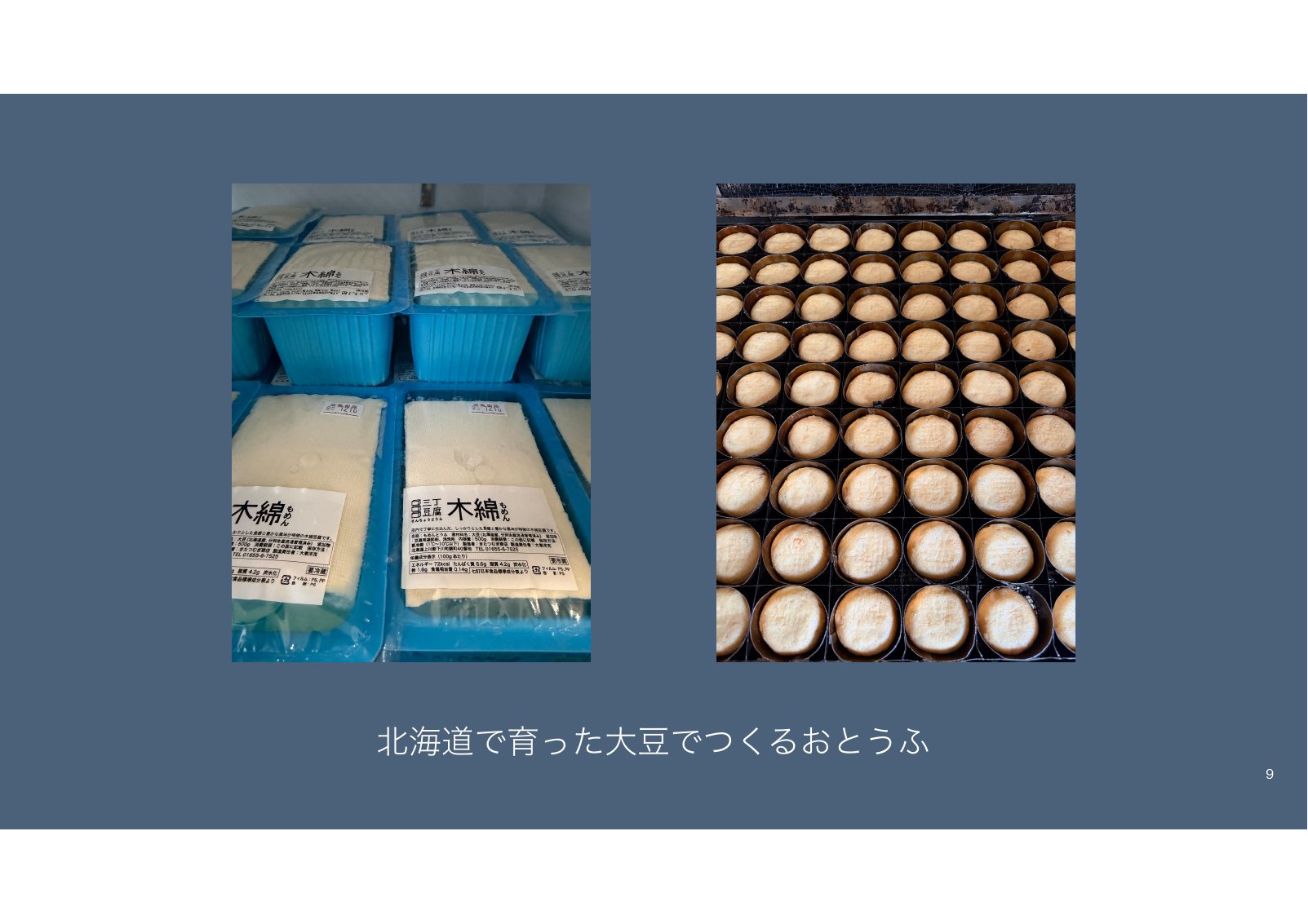 型に並んだ木綿豆腐と、容器いっぱいに並んだ寄せ豆腐の写真